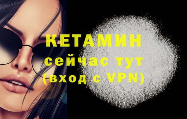 трава Абаза