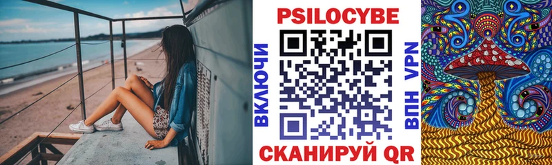 Галлюциногенные грибы Psilocybe  Альметьевск 